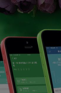 鼎維 智慧教育軟件定制及系統(tǒng)開(kāi)發(fā)公司